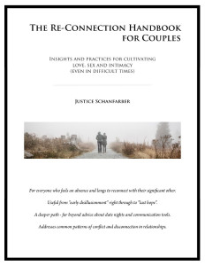 The Re-connection Handbook for Couples - Justice Schanfarber