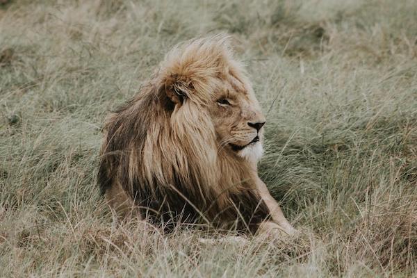 No, you don't lack emotional empathy (You lack courage, tolerance, and boundaries)